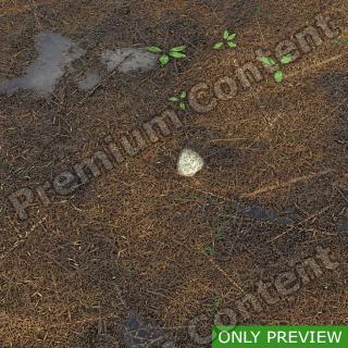 PBR substance preview forest ground wet 0005